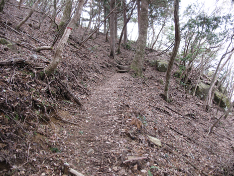 20140102hike (214)